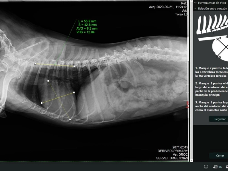 Radiología digital / Radiologia digital